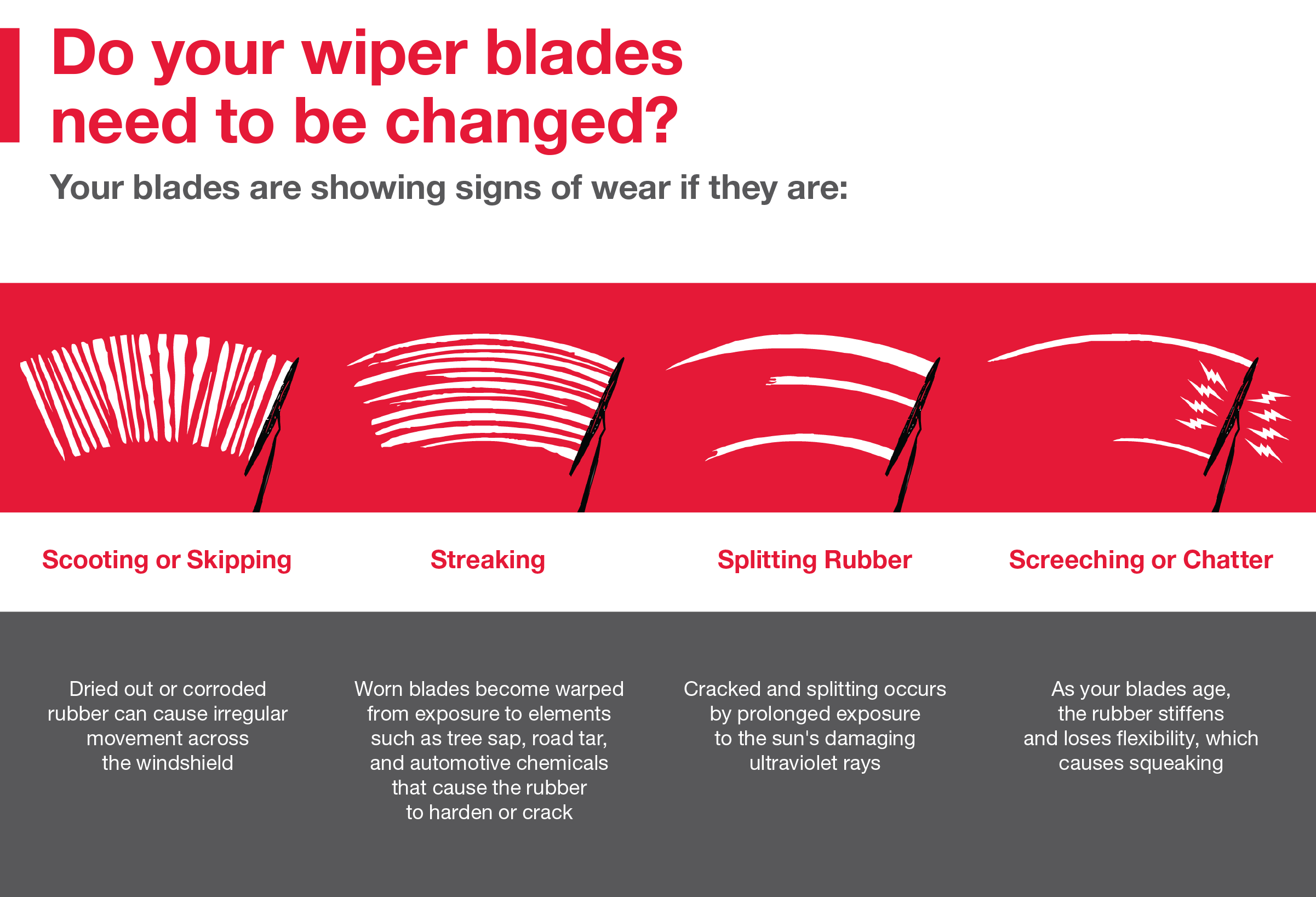 Do your wiper blades need to be changed | Seeger Toyota St. Louis in St Louis MO