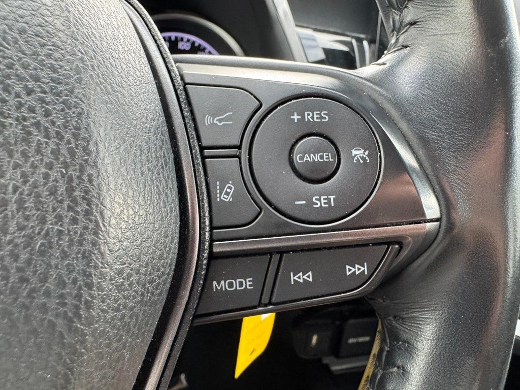 2023 Toyota Camry SE (Natl)