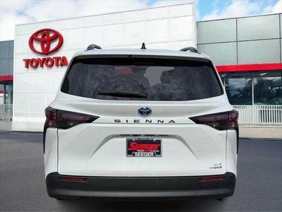 2024 Toyota Sienna XLE FWD 8-Passenger (Natl)