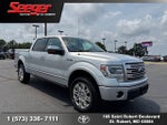 2013 Ford F-150 Platinum