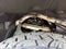 2026 Toyota 4Runner i-FORCE MAX Hybrid Trailhunter
